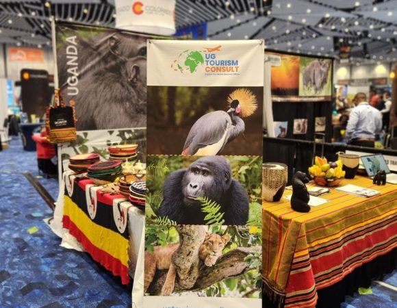 Finding The Best Tour Operator In Uganda