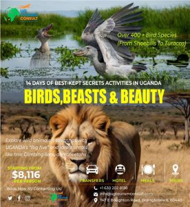 Birding Safari