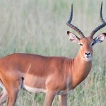 7 days of rift valley treasures