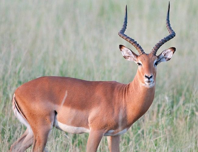 7 days of rift valley treasures