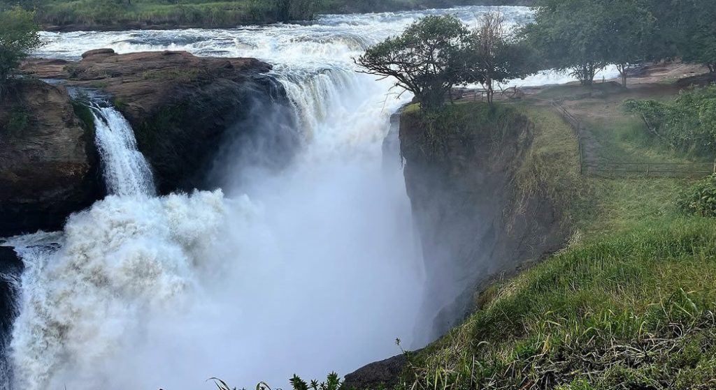 wildlife and waterfalls
