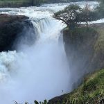 wildlife and waterfalls