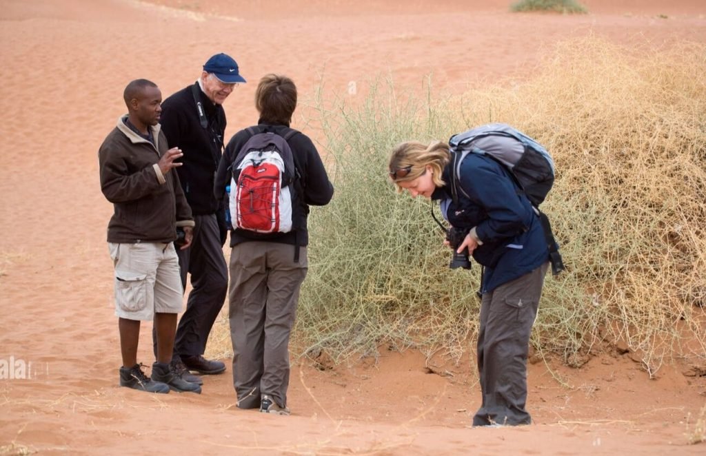 Tourism training And capacity building services,