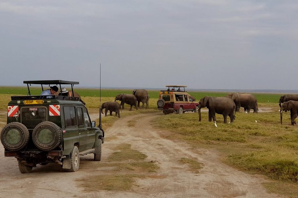 Uganda Travel Expert