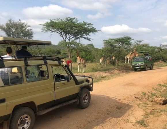 15 Days Across The Pearl Of Africa