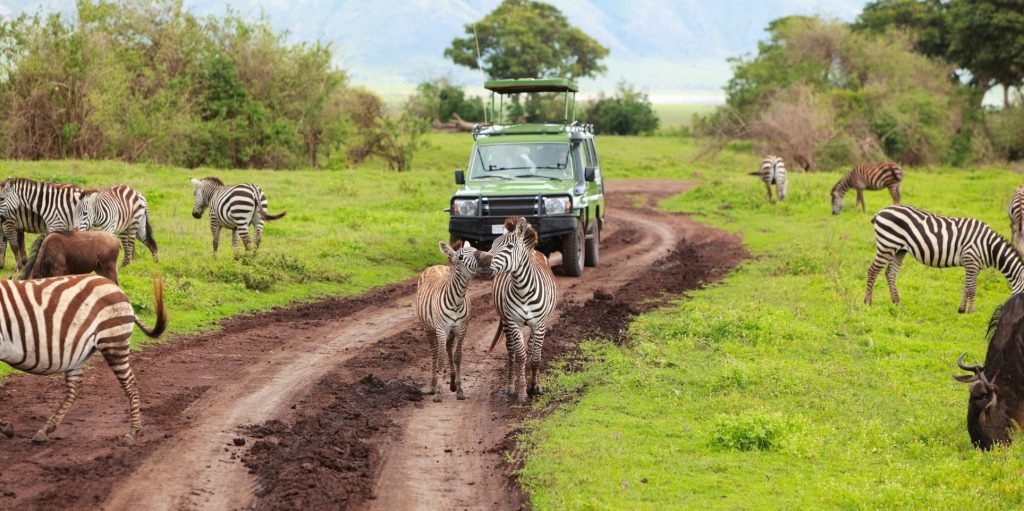 Uganda Safari Packages