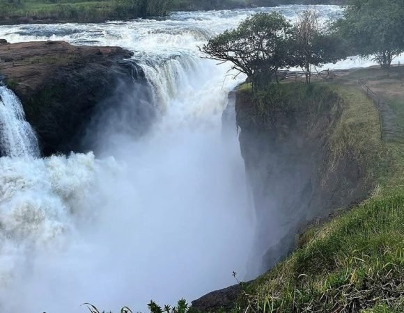 3 Days Of Wildlife and Waterfalls