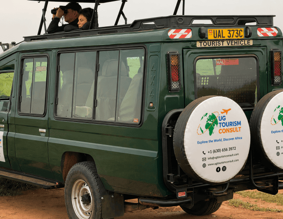 Best Vehicles For a Safari – The Ultimate Guide