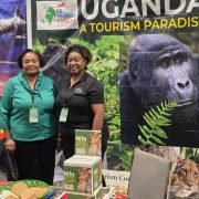 South Florida Travel and Adventure Show